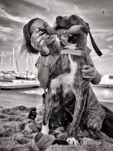 Entrenamiento_Thor_American_Stafford_Puntanimals_Huelva